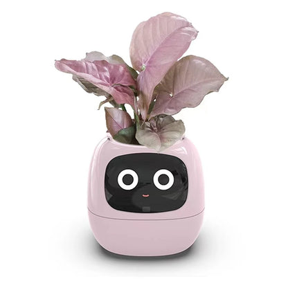 Ivy - Smart Flowerpot